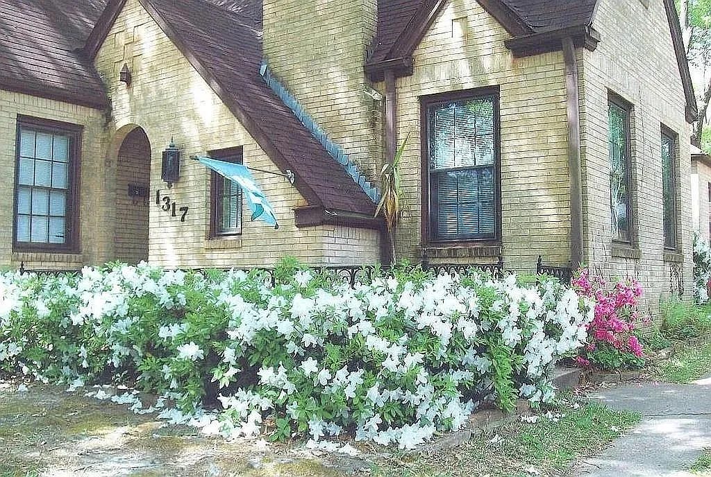 3 bed, 2.0 bath, 1734 sqft, $2,000 — Photo 2