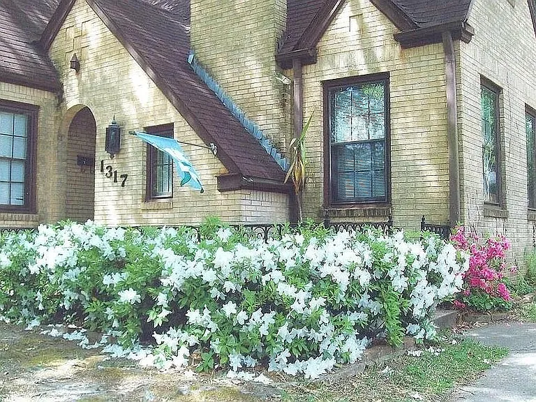 1317 Sneed Dr — Photo 2