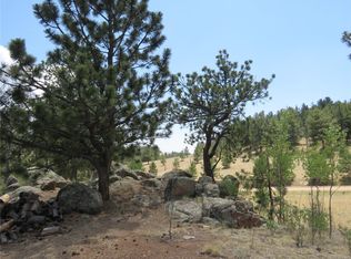 87 Mountain Ln, Guffey, CO 80820