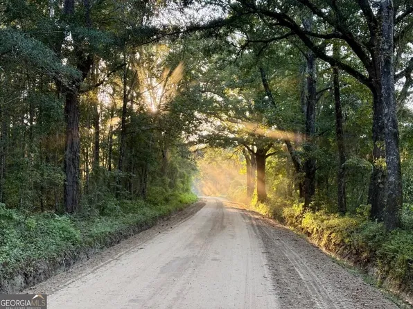 0 Old Moore Rd #1, Portal, GA 30450
