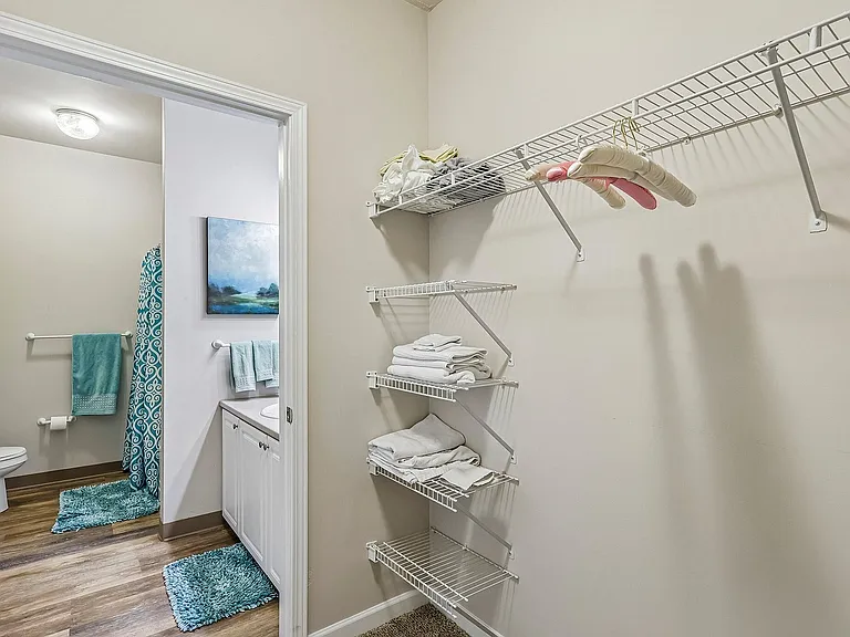 Bright and inviting bathroom entry featuring plush teal accents