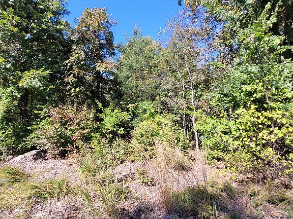 4th image of Linwood Dr