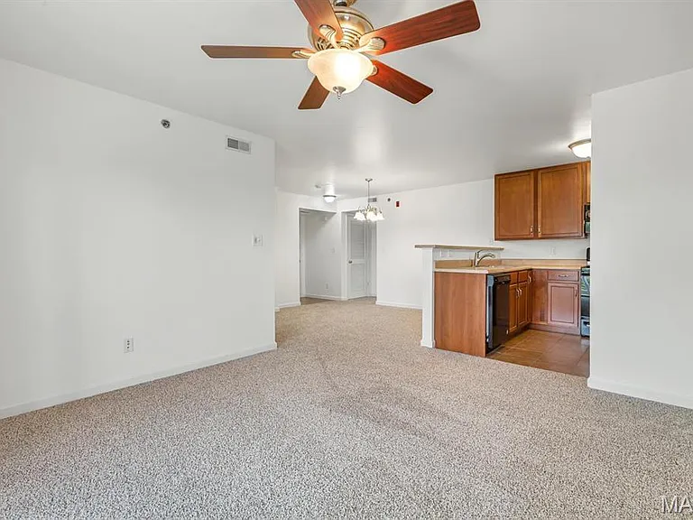 4200 Spring Creek Ln — Photo 4