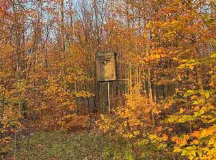 Cutover Dr, Elmira, MI 49730