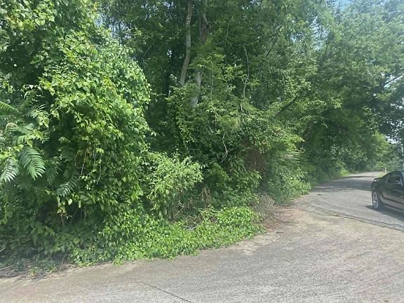 2nd image of 0 N Dabney Ln