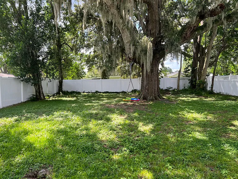 Back yard