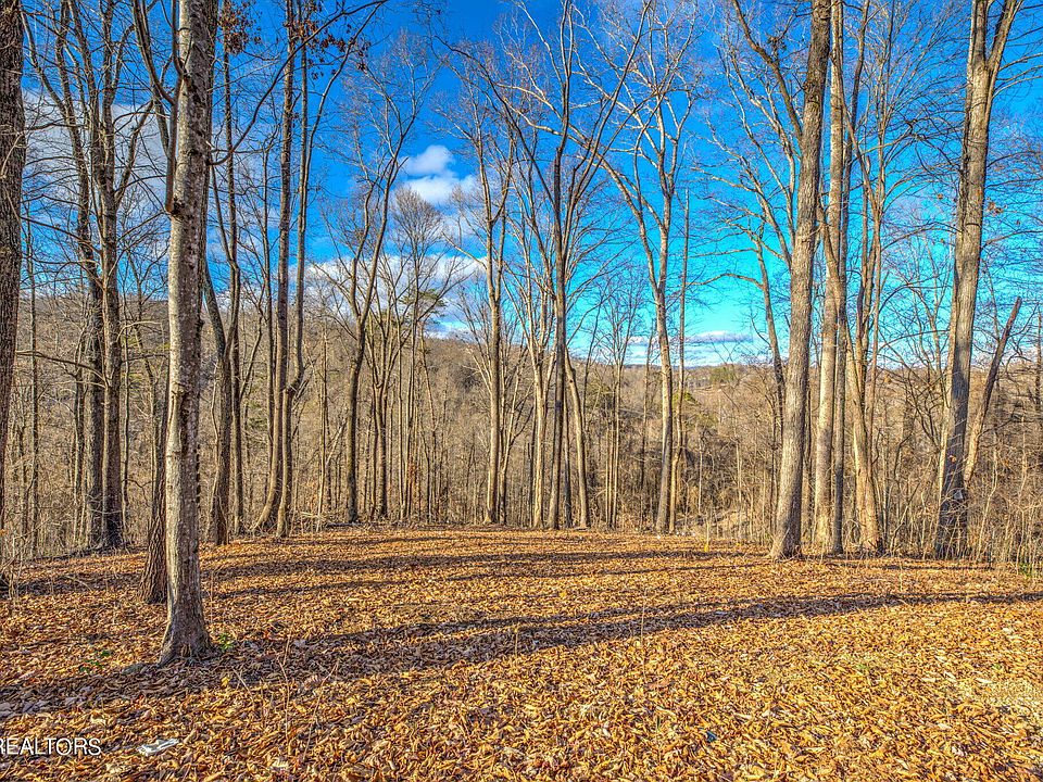 1st image of Mountain Lake Dr