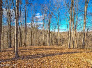 Mountain Lake Dr, Rocky Top, TN 37769
