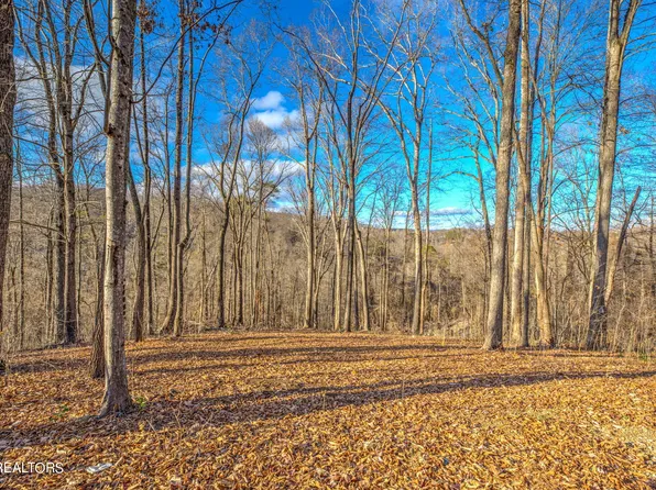 Mountain Lake Dr, Rocky Top, TN 37769