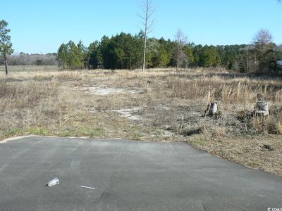 TBD Red Bluff Rd., Loris, SC, 29569