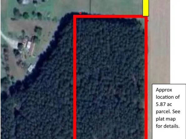 0 Strickland Road, Walstonburg, NC 27888