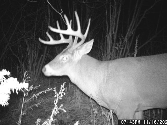 2nd image of Cloverland Rd