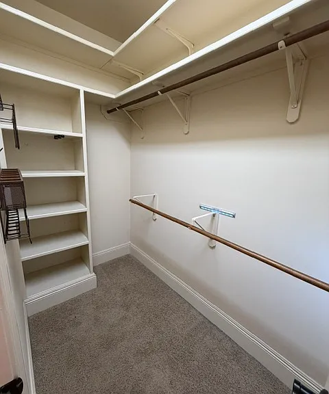 306 Bluebonnet Dr — Photo 8