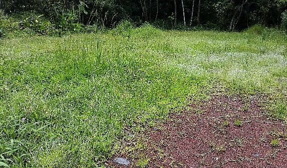 2nd image of 16-2120 Azure Dr Lot 56