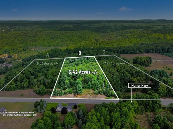 PARCEL Honor Hwy #B, Honor, MI 49640