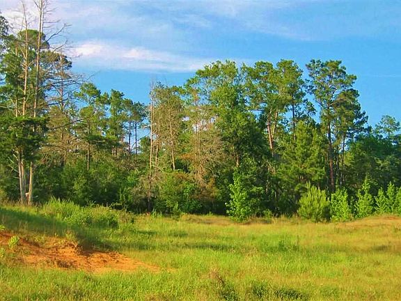 2nd image of 0 County Road 2920