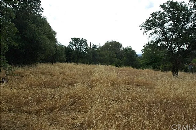 13 Cherry Ln photo 1