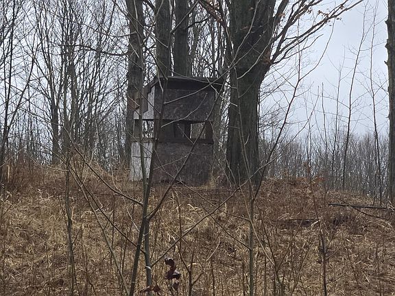 4th image of 20 Mile Rd