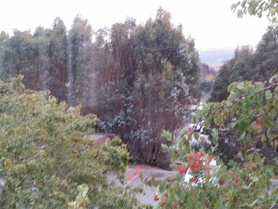 1st image of 129 Seal Rock Ct