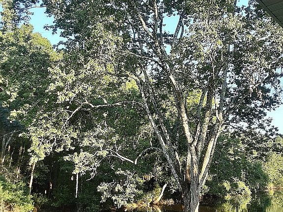 4th image of 4606 Parkway Blvd