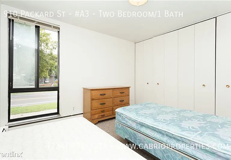 910 Packard St — Photo 11