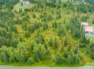 L10 Surf St, Clam Gulch, AK 99568