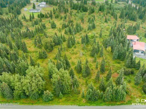 L10 Surf St, Clam Gulch, AK 99568