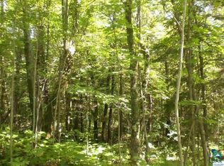 35295 Black Bear Rdg LOT 8, Bayfield, WI 54814