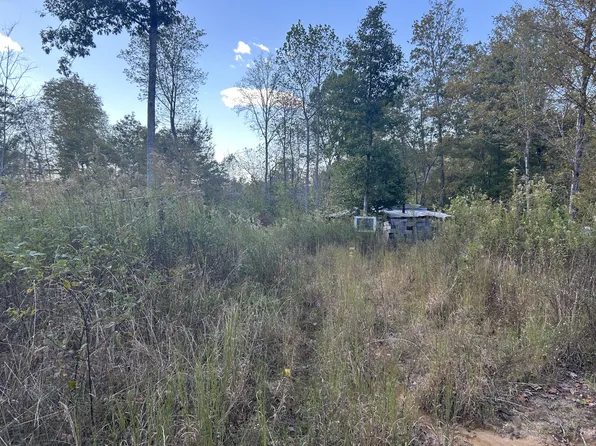 769 Preston Baggett Rd, Cumberland City, TN 37050