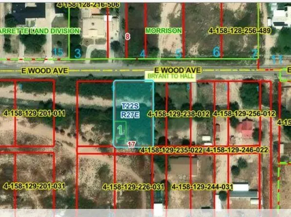 1009 E Wood Ave, Carlsbad, NM 88220