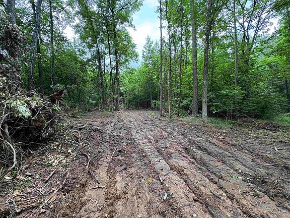 4th image of 80 Acres Off Of Sr 164 W