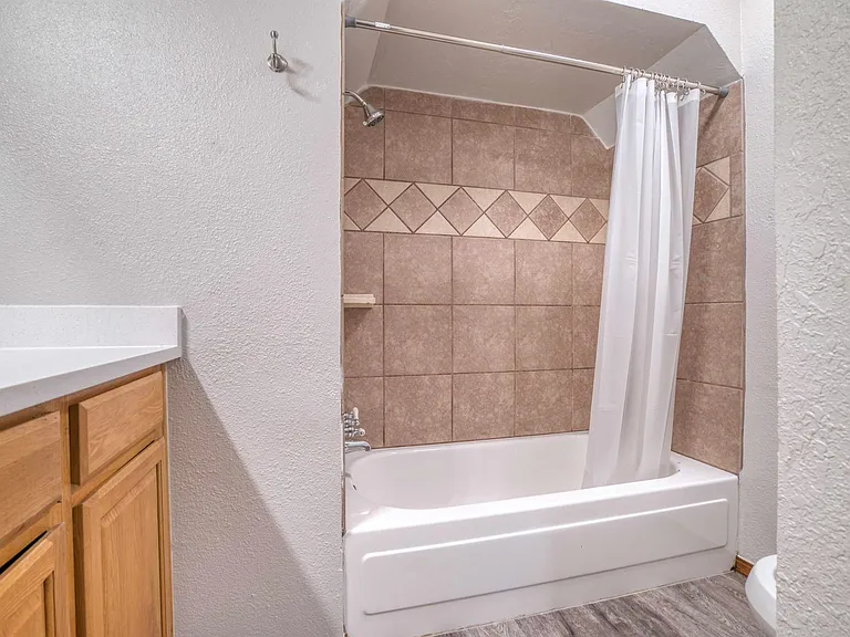 700 Wood Hollow Ln — Photo 19