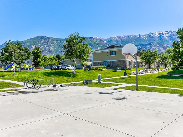 Basketball with a View