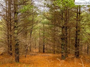 LOT 5 Alta Vista Ln, Sparta, NC 28675