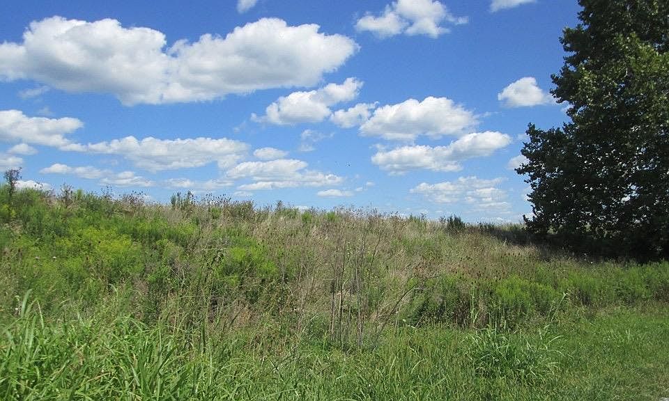 2nd image of 0 Mann Ln Lot 31