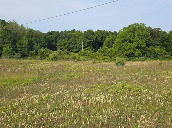N 72nd Ave, Hart, MI 49420