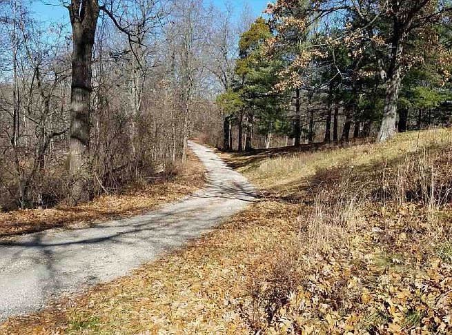 2nd image of 455 Aster Ln