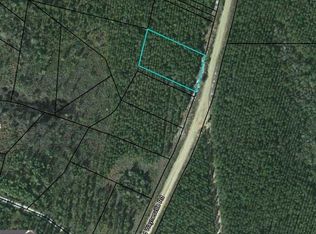 LOT 17 Old Waynesville Rd, Waynesville, GA 31566