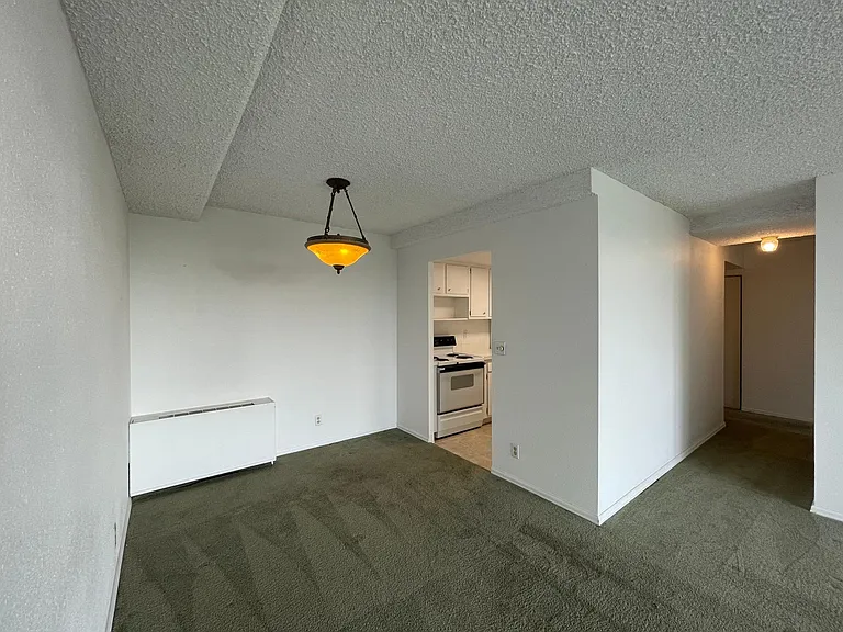 421 S Howes St #703 — Photo 23