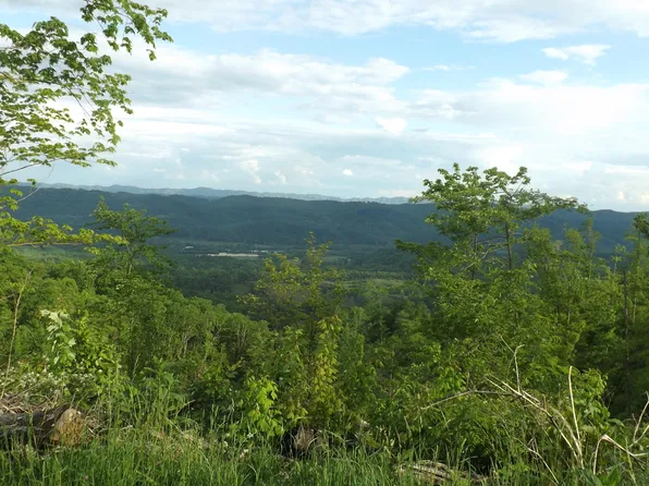 0 Osborne Ridge Rd, Dungannon, VA 24245