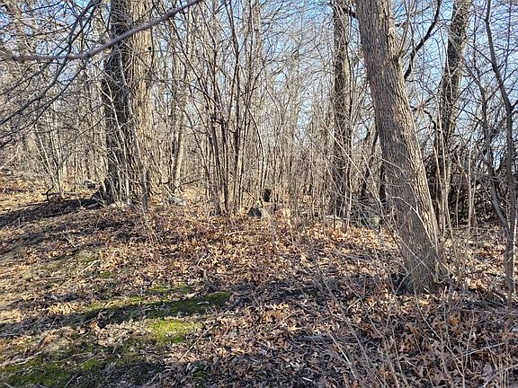 5th image of 1644 Hickory Hill Dr