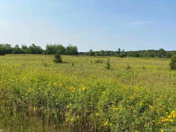 Tbd Willet Ln, Republic, MI 49879