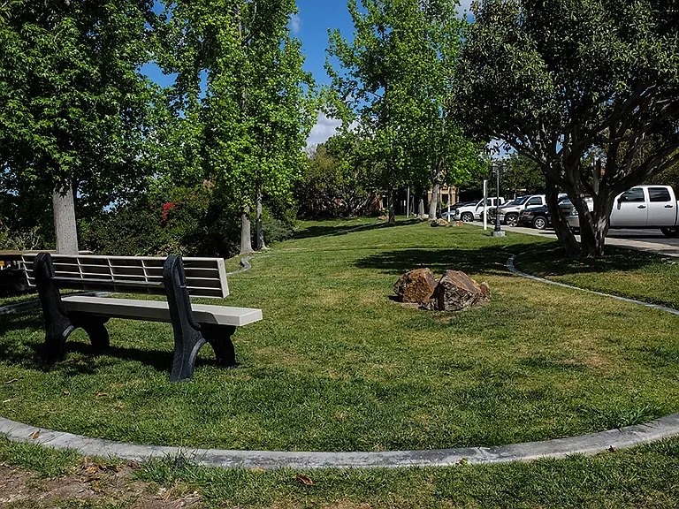 Shadowridge Summerwind — Photo 21