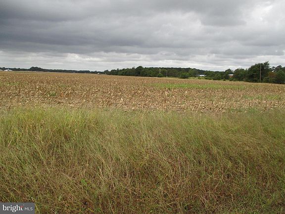 3rd image of LOT 6 Gray Rd