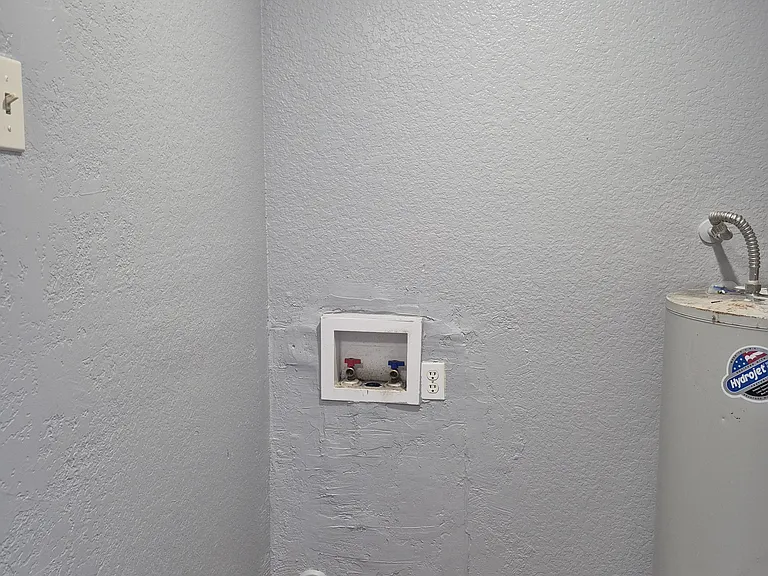 S Olive — Photo 7