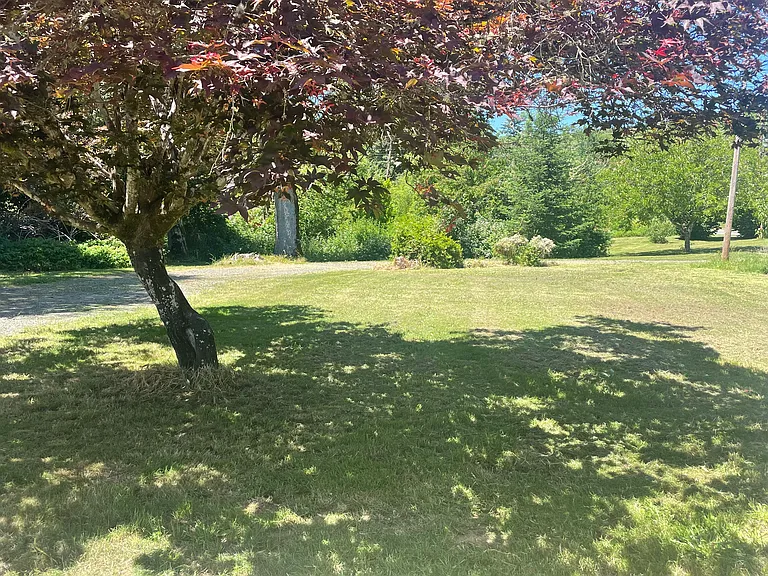 Binder Rd — Photo 2