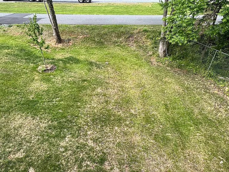 105 E Highfill Ave #105 — Photo 28