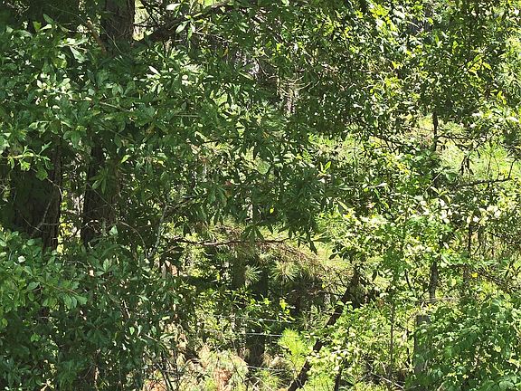 5th image of 0 County Road 26
