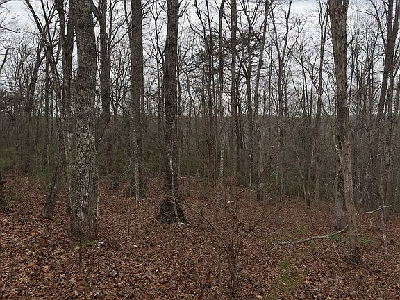 3rd image of Tract16r Stockton Bluffs Ln