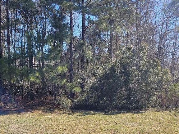 4th image of 39624 Bedico Trace Blvd